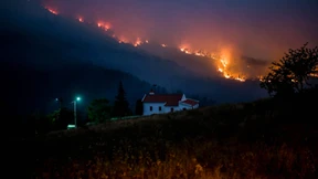 Waldbrände im Zentrum von Portugal