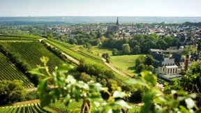 Seelen retten und Reben streicheln