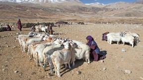 „Dürren kennen keine Ländergrenzen“