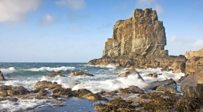 Ein Leben, wie es dem König gefällt