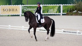 Mit Charme und Feuer