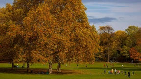 So könnte die Anbindung in den Frankfurter Norden aussehen