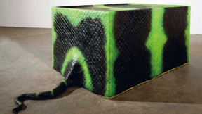 Haltbarkeitsdatum abgelaufen