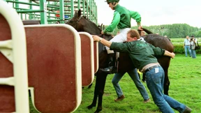 Keine Angst vor dem Auf und Ab
