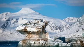 Polarforscher sterben in der Arktis