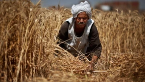 EU will Agrarexporte nach Afrika nicht mehr subventionieren