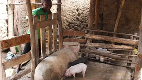 Der Preis für das gute Gewissen