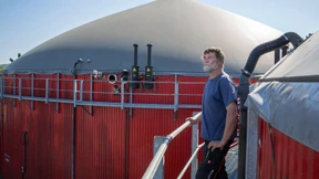 „Wie eine große Kuh“