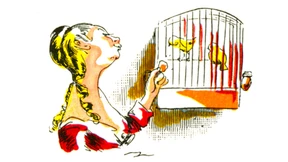 Die Sehnsucht der Frauen