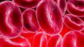 Jetzt mal tief Luft holen und das Leben feiern