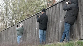 Feuerwehrchef fordert Führerscheinentzug für Gaffer