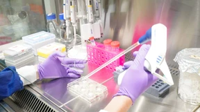 Was über Omikron bekannt ist