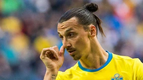 WM ohne Ibrahimovic