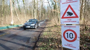 Warum ein reger Gasthausbetrieb wandernde Kröten gefährdet
