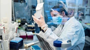 Eine Immunitätsmauer gegen mutierte Viren