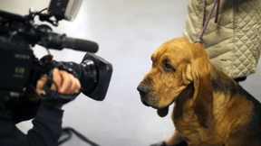 Wo der Afghane Seitenscheitel trägt