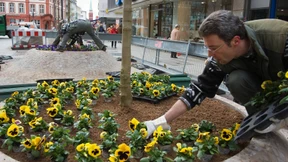 Deutschlands Gemeinden wollen wieder investieren