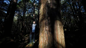 Der Wächter vom „Selbstmord-Wald“