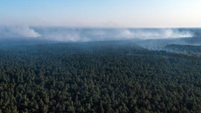 „Der Boden ist sehr, sehr, sehr trocken“