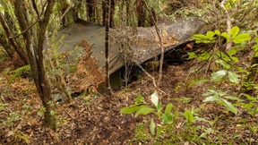 Neuseeländische Polizei sucht nach Helfern des Kindesentführers