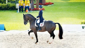 Seht her, ich bin ein Star!