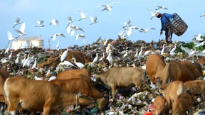 Indonesien schickt tonnenweise deutschen Müll zurück