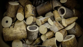 China will Handel mit Elfenbein verbieten