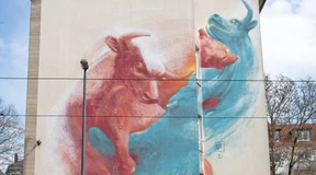 Vorsicht vor der Bärenmarktrally