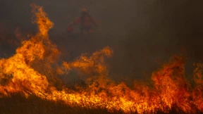 Starke Winde fachen Waldbrände an
