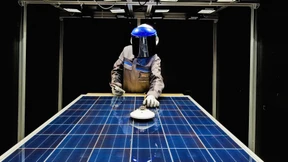 Master gesucht, Meister noch mehr