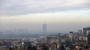 Vom Protest zur Politik?
