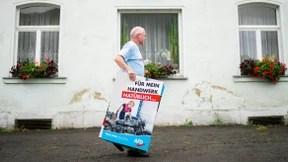 Die Wirtschaftspläne der AfD