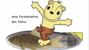 Vom Bachkiesel lernen