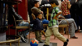 Tote Schafe, Gewalt und ein bisschen Cholera