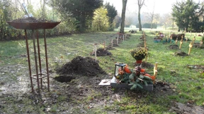 Ruhe sanft und billig