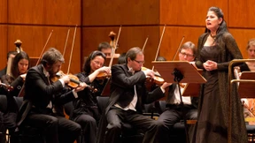 Was aber, wenn organisierter Mord ein Volk auslöscht?