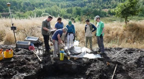 Fossil entpuppt sich vermutlich als weiteres Urpferd