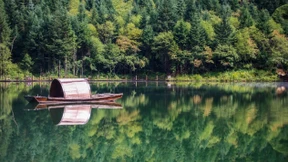 UN: China unterstützt globale Agenda zur Biodiversität