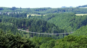 Keine Geier über der Geierlay