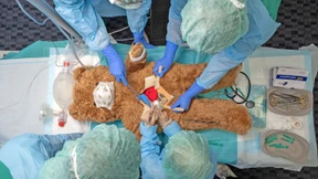 Wo Kuscheltiere den Arztbesuch für Kinder erleichtern