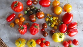 „Wenn man sie richtig behandelt, sind sie überhaupt nicht untreu“ 