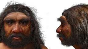 Forscher sprechen von neuer Frühmenschenart