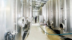 Warum Aldi auf den Rheingauer Riesling setzt