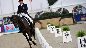 Pfadfinder im Busch von Luhmühlen