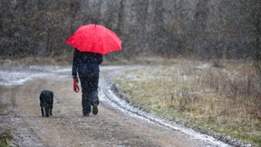 Ungemütliches Wetter am Sonntag – bis zu 20 Grad am Montag erwartet