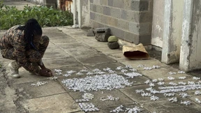 Insektenschmuggler in Kenia verhaftet