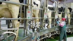 Bauern demonstrieren gegen Agrarministerkonferenz