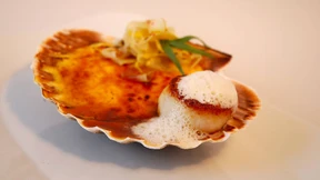 Paukenschläge in der Paukstube