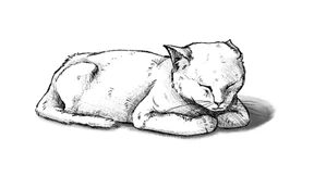 Ist noch Zeit für Wut, so kurz vor dem Weltuntergang?