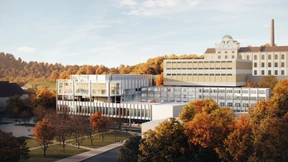 Grün vor den Grünen